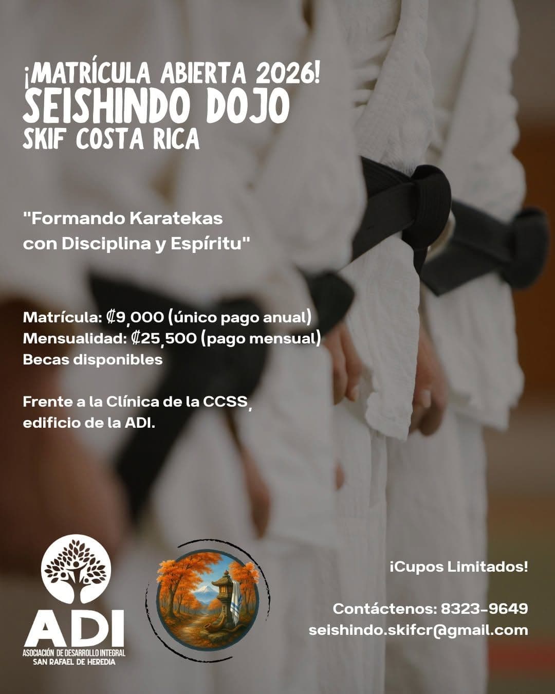 Curso de Karate: Disciplina, Fuerza y Confianza